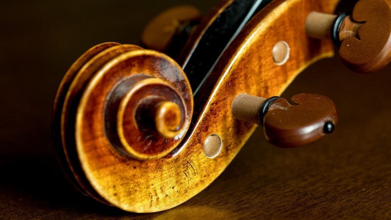 Violino