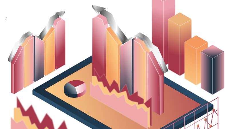 Report didattica digitale