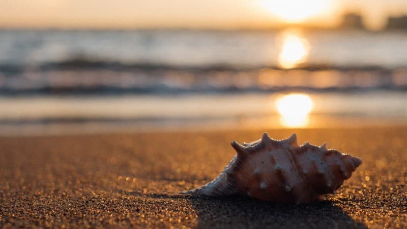 Spiaggia Romea